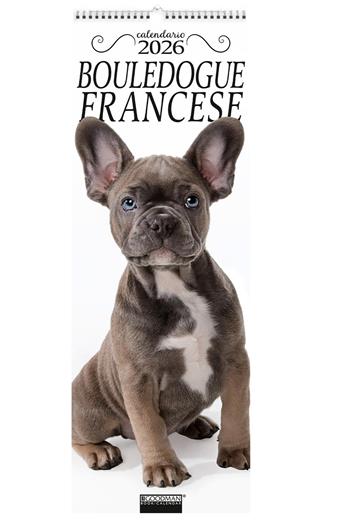 Bouledogue francese. Calendario 2026 Long  - Libro Sprea Editori 2025 | Libraccio.it