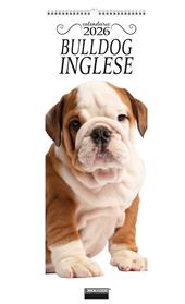 Bulldog inglese. Calendario 2026. Long