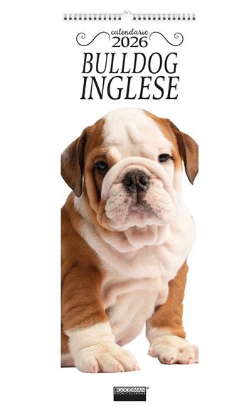 Bulldog inglese. Calendario 2026. Long  - Libro Sprea Editori 2025 | Libraccio.it