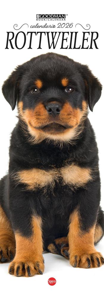 Rottweiler. Calendario 2026. Long  - Libro Sprea Editori 2025, Lisa Goodman Long | Libraccio.it