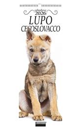 Cane lupo cecoslovacco. Calendario 2026. Long