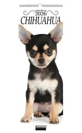 Chihuahua. Calendario 2026. Long