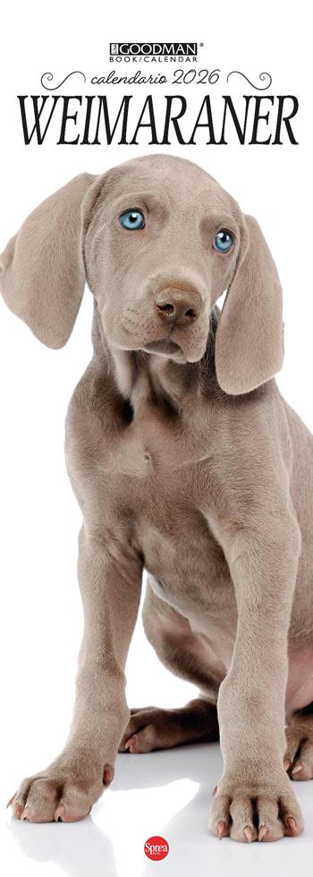 Weimaraner. Calendario 2026. Long  - Libro Sprea Editori 2025, Lisa Goodman Long | Libraccio.it