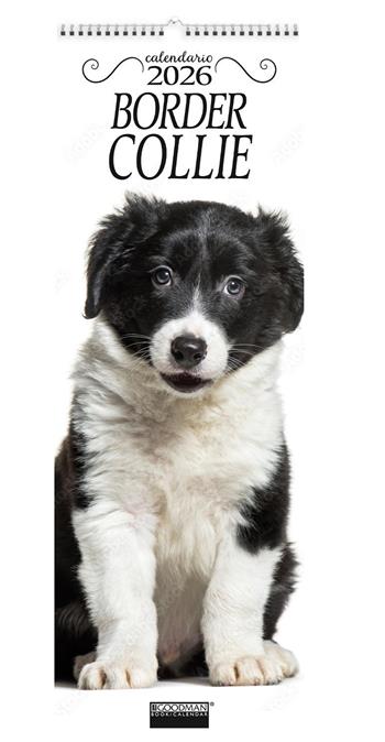 Border collie. Calendario 2026. Long  - Libro Sprea Editori 2025 | Libraccio.it