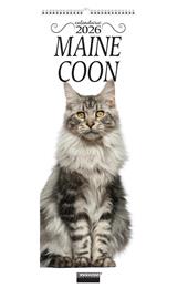 Calendario Maine Coon. Calendario 2026. Long