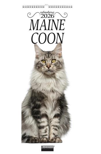 Calendario Maine Coon. Calendario 2026. Long  - Libro Sprea Editori 2025 | Libraccio.it