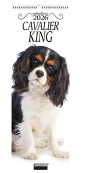 Cavalier king. Calendario 2026. Long