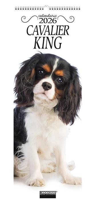 Cavalier king. Calendario 2026. Long  - Libro Sprea Editori 2025 | Libraccio.it