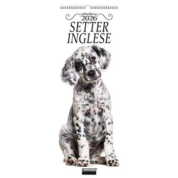 Setter inglese. Calendario 2026. Long  - Libro Sprea Editori 2025 | Libraccio.it