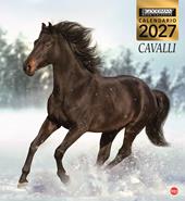 Cavalli. Calendario 2026. Magnum