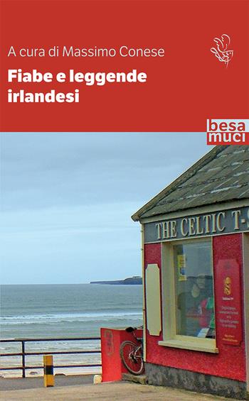 Fiabe e leggende irlandesi  - Libro Controluce (Nardò) 2020, Passage | Libraccio.it
