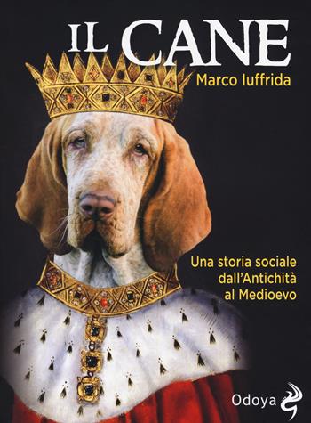 Il cane. Una storia sociale dall'Antichità al Medioevo - Marco Iuffrida - Libro Odoya 2018, Odoya library | Libraccio.it