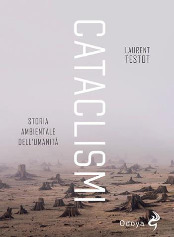 Cataclismi. Storia ambientale dell'umanità - Laurent Testot - Libro Odoya 2021, Odoya library | Libraccio.it