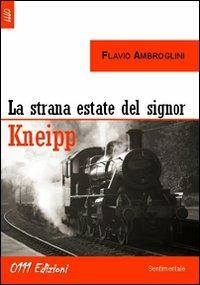 La strana estate del signor Kneipp - Flavio Ambroglini - Libro 0111edizioni 2011, Guest book | Libraccio.it