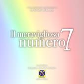 Libraccio Il meraviglioso numero 7 (audiolibro)