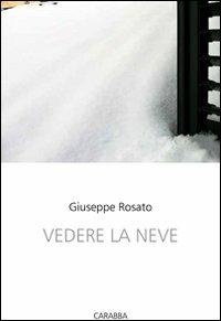 Vedere la neve - Giuseppe Rosato - Libro Carabba 2011, Universale Carabba. Sezione studi | Libraccio.it