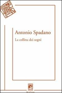La collina dei sogni - Antonio Spadano - Libro Carabba 2011, Poesie | Libraccio.it