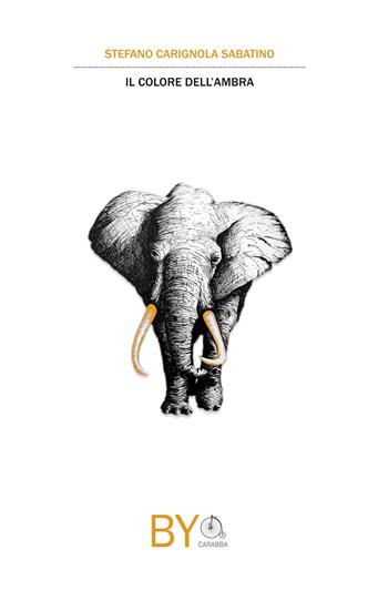 Il colore dell'ambra - Sabatino Stefano Carignola - Libro Carabba 2017 | Libraccio.it