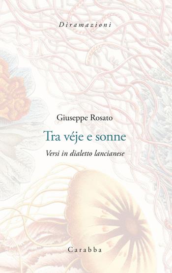 Tra Vèje e sonne. Versi in dialetto lancianese - Giuseppe Rosato - Libro Carabba 2022, Diramazioni | Libraccio.it