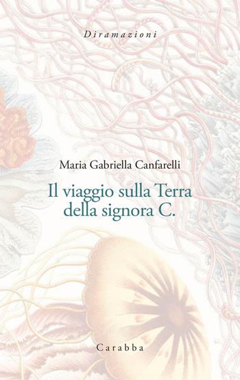 Il viaggio sulla terra della signora C. - Maria Gabriella Canfarelli - Libro Carabba 2023, Diramazioni | Libraccio.it