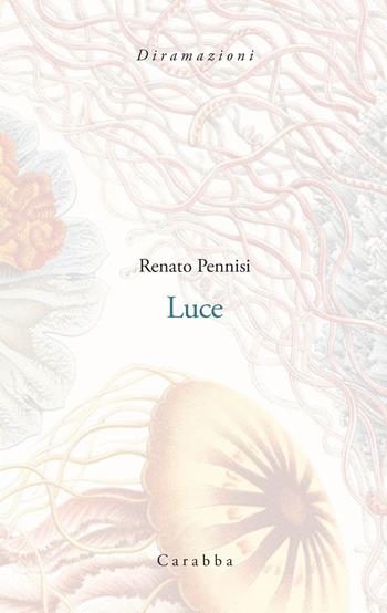 Luce - Renato Pennisi - Libro Carabba 2024, Diramazioni | Libraccio.it