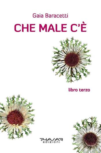 Che male c'è. Libro terzo - Gaia Baracetti - Libro Phasar Edizioni 2019 | Libraccio.it