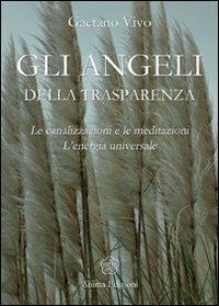 Angeli della trasparenza. Le canalizzazioni e le meditazioni. L'energia universale - Gaetano Vivo - Libro Anima Edizioni 2010, Messaggi per l'anima | Libraccio.it