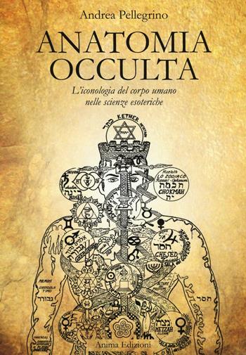 Anatomia occulta. L'iconologia del corpo umano nelle scienze esoteriche - Andrea Pellegrino - Libro Anima Edizioni 2016, Manuali per l'anima | Libraccio.it