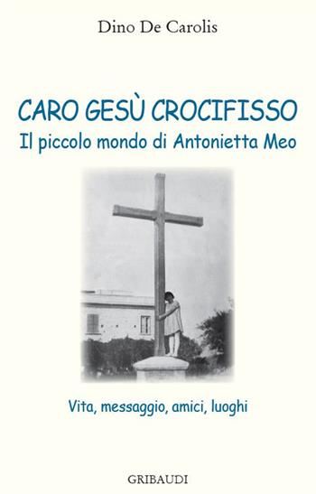 Caro Gesù crocifisso. Il piccolo mondo di Antonietta Meo. Vita, messaggio, amici, luoghi - Dino De Carolis - Libro Gribaudi 2018 | Libraccio.it