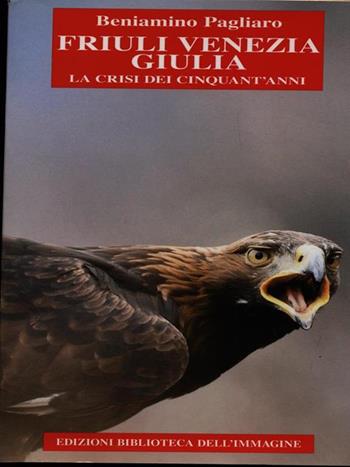 Friuli Venezia Giulia. La crisi dei cinquant'anni - Beniamino Pagliaro - Libro Biblioteca dell'Immagine 2013 | Libraccio.it