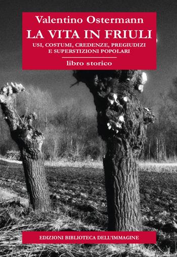 La vita in Friuli. Usi, costumi, credenze, pregiudizi e superstizioni popolari - Valentino Ostermann - Libro Biblioteca dell'Immagine 2019, Inchiostro | Libraccio.it