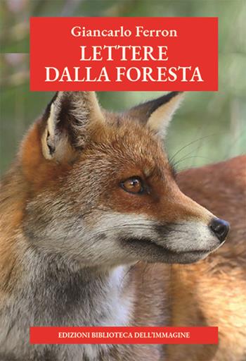 lettere dalla foresta - Giancarlo Ferron - Libro Biblioteca dell'Immagine 2025, Inchiostro | Libraccio.it