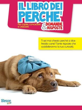 Il libro dei perché... domande & risposte  - Libro Edizioni Brancato 2012, Biesse kids | Libraccio.it
