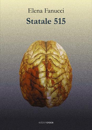 Statale 515 - Elena Fanucci - Libro Croce Libreria 2025, Fuori collana | Libraccio.it