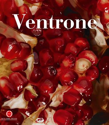 Luciano Ventrone. Il limite del vero. Dall'astrattismo all'astrazione. Ediz. italiana e inglese - Angelo Crespi - Libro Carlo Cambi Editore 2019 | Libraccio.it