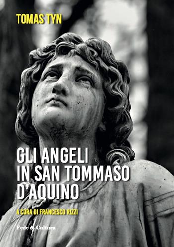 Gli angeli di San Tommaso d'Aquino - Tomas Tyn - Libro Fede & Cultura 2012, Filosofica | Libraccio.it