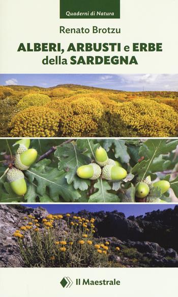 Alberi, arbusti e erbe della Sardegna. Ediz. illustrata - Renato Brotzu - Libro Il Maestrale 2019, Quaderni di Natura | Libraccio.it