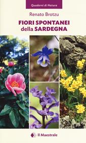Fiori spontanei della Sardegna. Ediz. a colori