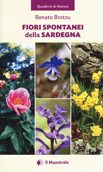 Fiori spontanei della Sardegna. Ediz. illustrata - Renato Brotzu - Libro Il Maestrale 2019, Quaderni di Natura | Libraccio.it