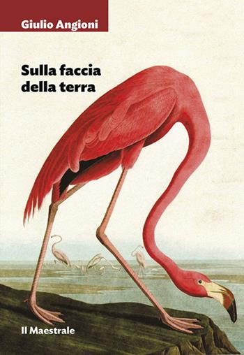Sulla faccia della terra - Giulio Angioni - Libro Il Maestrale 2017, Tascabili. Narrativa | Libraccio.it
