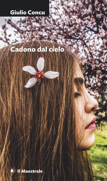 Cadono dal cielo - Giulio Concu - Libro Il Maestrale 2019, Narrativa | Libraccio.it