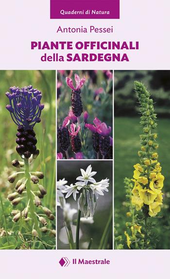 Piante officinali della Sardegna - Antonia Pessei - Libro Il Maestrale 2019, Quaderni di Natura | Libraccio.it