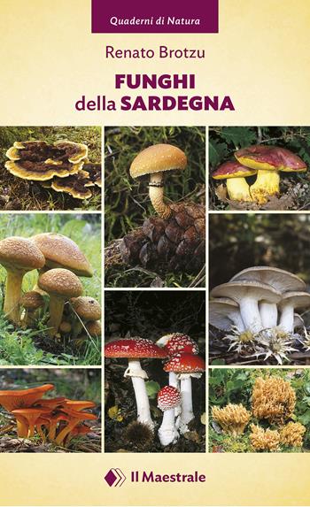 Funghi della Sardegna. Ediz. illustrata - Renato Brotzu - Libro Il Maestrale 2019, Quaderni di Natura | Libraccio.it
