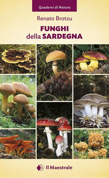Funghi della Sardegna. Ediz. a colori - Renato Brotzu - Libro Il Maestrale 2019, Quaderni di Natura | Libraccio.it
