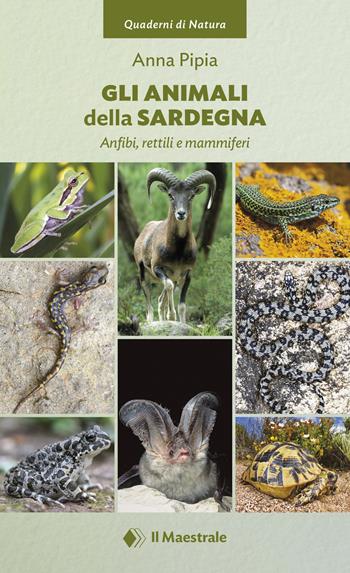 Gli animali della Sardegna. Anfibi, rettili e mammiferi - Anna Pipia - Libro Il Maestrale 2022, Quaderni di Natura | Libraccio.it