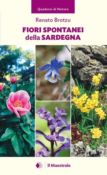 Fiori spontanei della Sardegna - Renato Brotzu - Libro Il Maestrale 2025, Quaderni di Natura | Libraccio.it