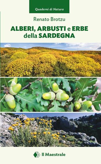 Alberi, arbusti e erbe della Sardegna - Renato Brotzu - Libro Il Maestrale 2025, Quaderni di Natura | Libraccio.it