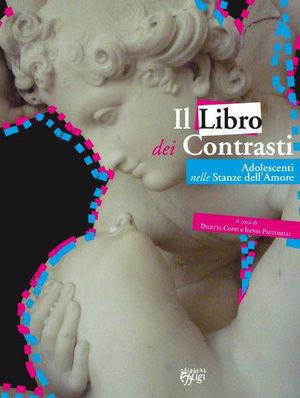 Il libro dei contrasti. Adolescenti nelle stanze dell'amore  - Libro C&P Adver Effigi 2010 | Libraccio.it