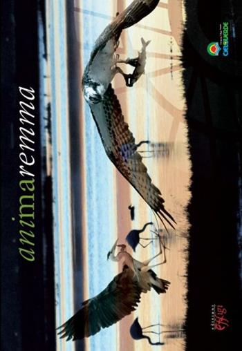 Animaremma  - Libro C&P Adver Effigi 2012, Microcosmi | Libraccio.it