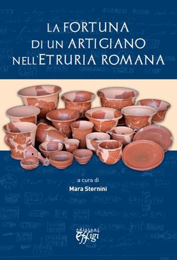 La fortuna di un artigiano nell'Etruria romana  - Libro C&P Adver Effigi 2012, Microcosmi | Libraccio.it